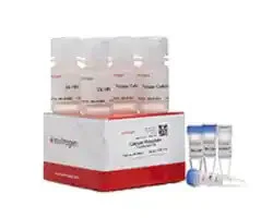 nucleic-acid-introduction-reagents image